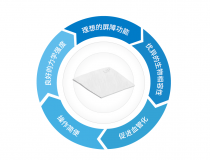 兰度骨膜/可吸收生物膜试用（仅限兰度膜新用户）